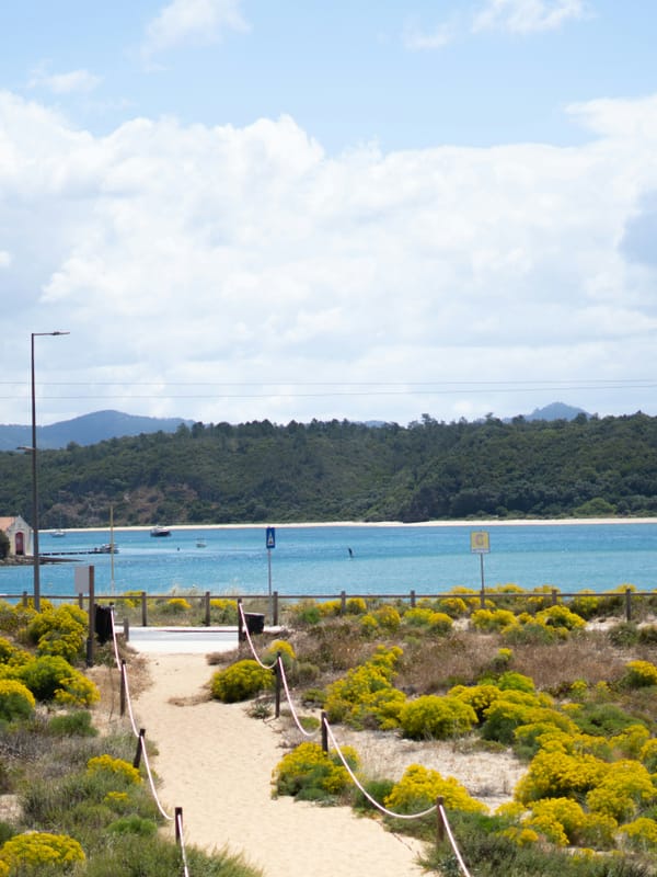 Beach path with flowers